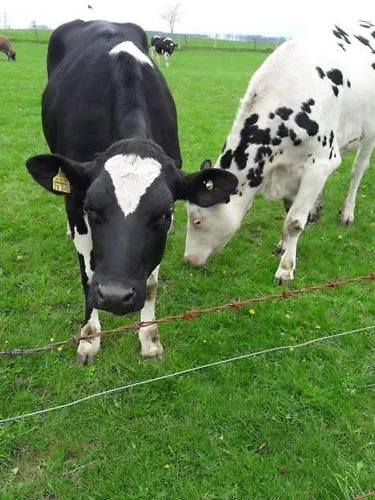 Darge Felbecke Apartment Schmallenberg